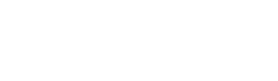 subsidieportaal